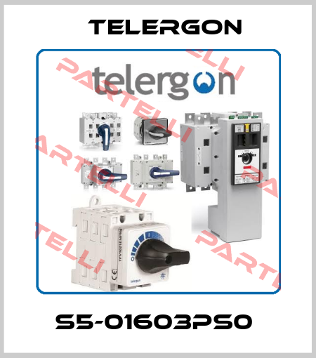 S5-01603PS0  Telergon
