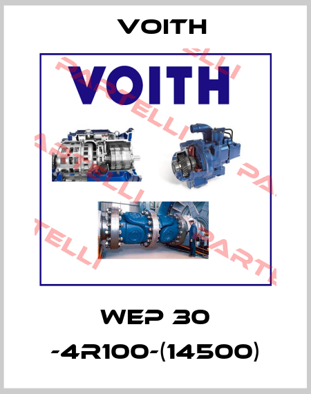 WEP 30 -4R100-(14500) Voith