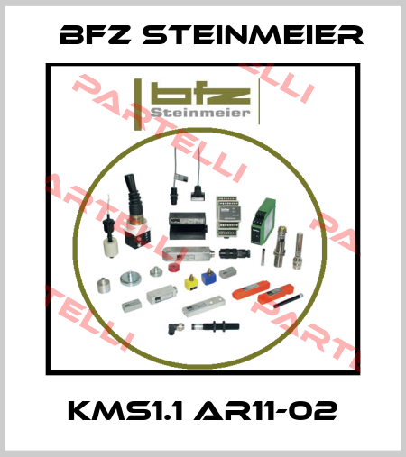 KMS1.1 AR11-02 BFZ STEINMEIER