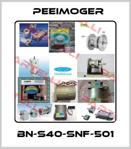 BN-S40-SNF-501 Peeimoger