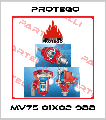 MV75-01X02-9BB Protego