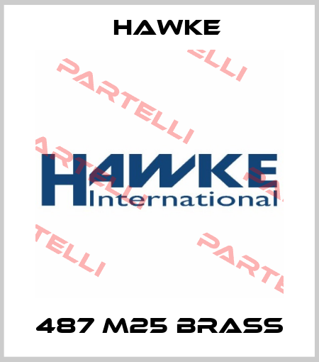 487 M25 Brass Hawke