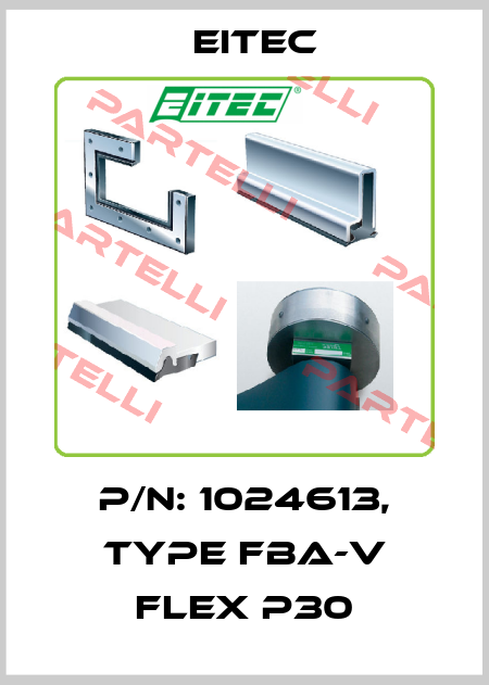 P/N: 1024613, Type FBA-V flex P30 Eitec