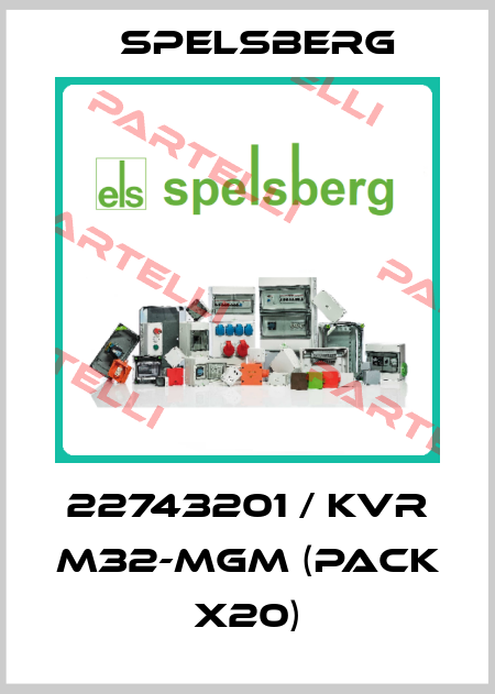 22743201 / KVR M32-MGM (pack x20) Spelsberg