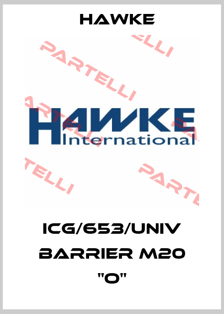 ICG/653/UNIV Barrier M20 "O" Hawke
