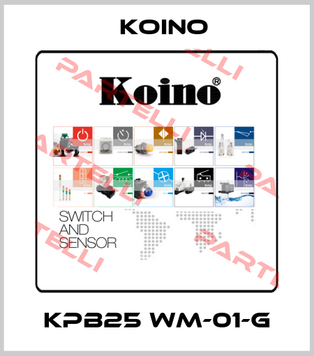 KPB25 WM-01-G Koino