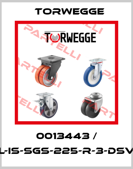 0013443 / L-IS-SGS-225-R-3-DSV Torwegge