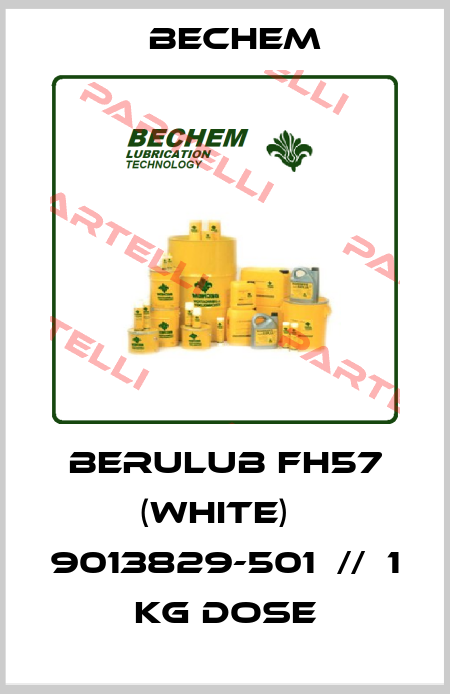 Berulub FH57 (white)　 9013829-501  //  1 KG DOSE Carl Bechem GmbH