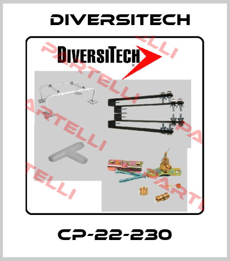 CP-22-230 Diversitech