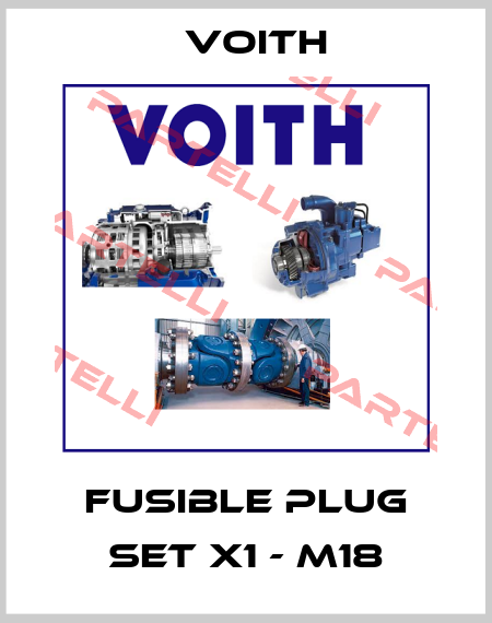 Fusible plug set X1 - M18 Voith