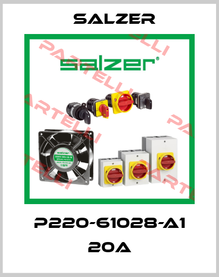 P220-61028-A1 20A Salzer