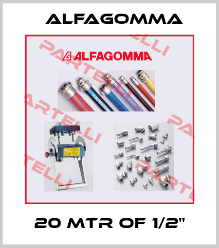 20 MTR of 1/2" Alfagomma
