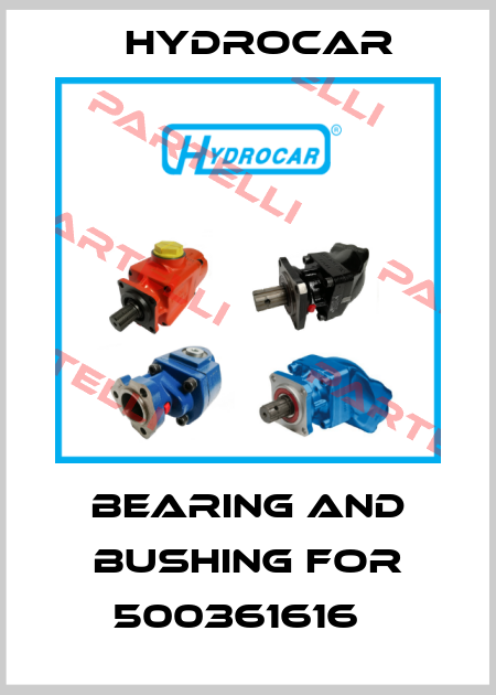 Bearing and bushing for 500361616   Hydrocar