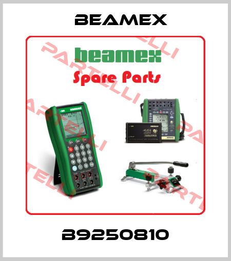 B9250810 Beamex