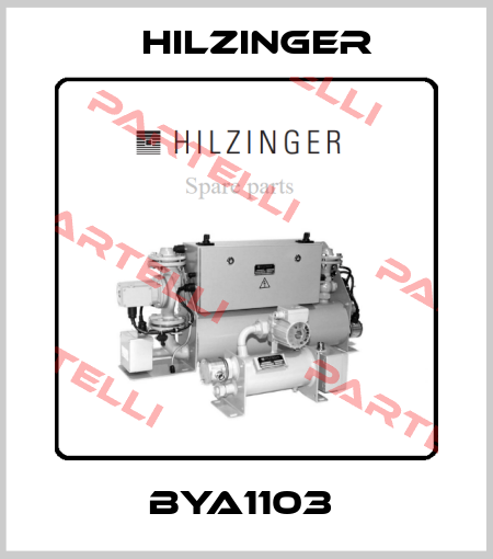 BYA1103  Hilzinger