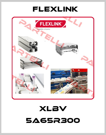 XLBV 5A65R300 FlexLink