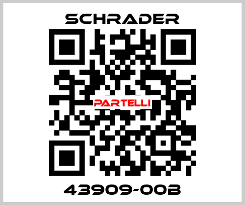 43909-00B Schrader