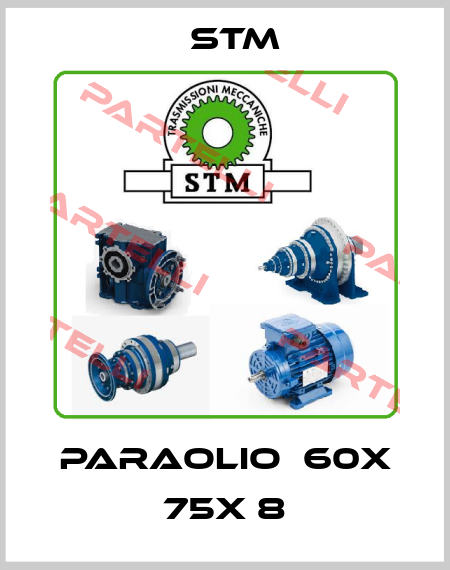 PARAOLIO  60X 75X 8 Stm