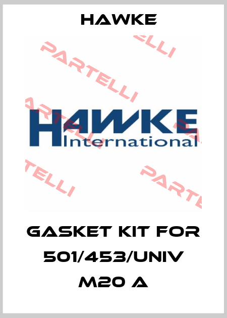 Gasket kit for 501/453/UNIV M20 A Hawke