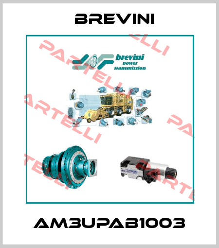 AM3UPAB1003 Brevini