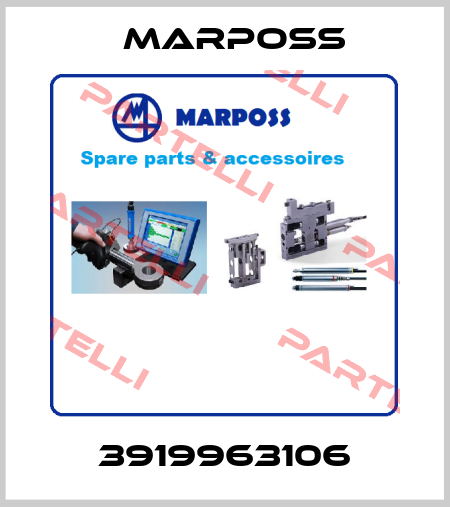3919963106 Marposs