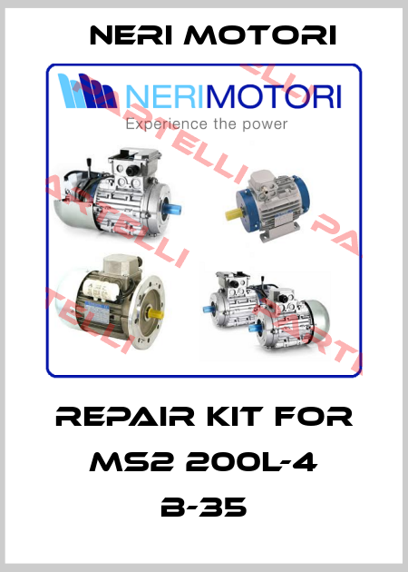 repair kit for MS2 200L-4 B-35 Neri Motori