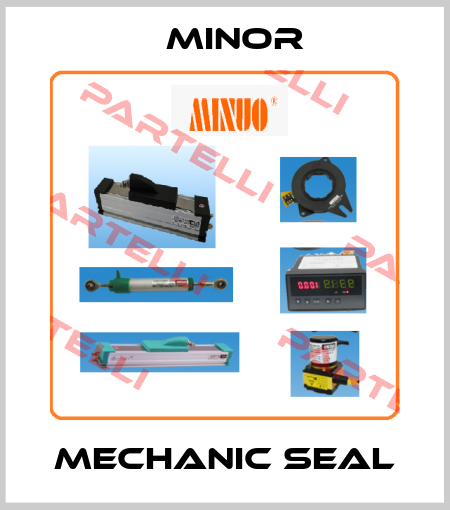 mechanic seal Minor