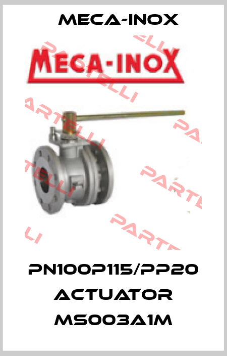 PN100P115/PP20 Actuator MS003A1M Meca-Inox