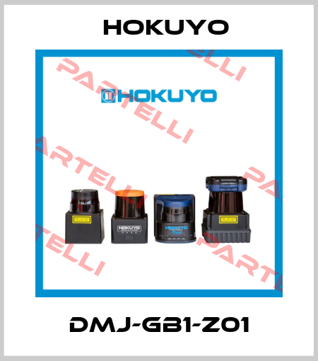 DMJ-GB1-Z01 Hokuyo