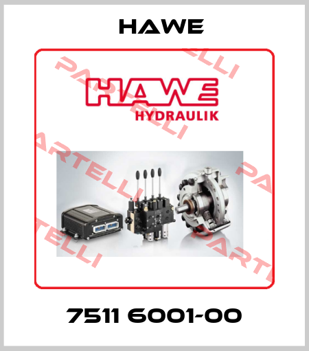 7511 6001-00 Hawe