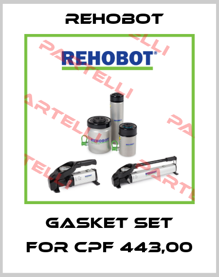 gasket set for CPF 443,00 Rehobot