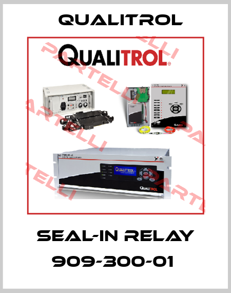 SEAL-IN RELAY 909-300-01  Qualitrol
