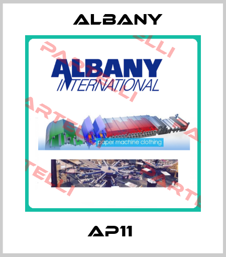  AP11  Albany