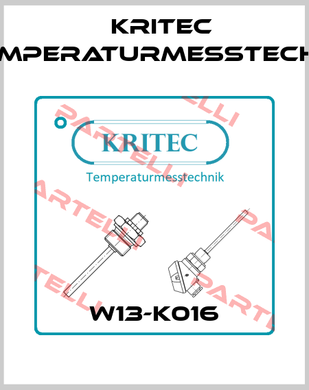W13-K016 Kritec Temperaturmesstechnik