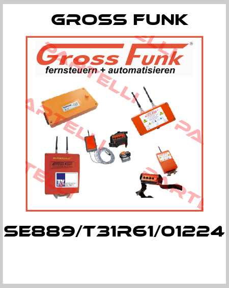 SE889/T31R61/01224  Gross Funk