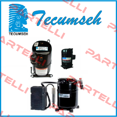 SEAL TEAM FOR 13 HB MOTOR XL/C 13,0 OHV 130  Tecumseh