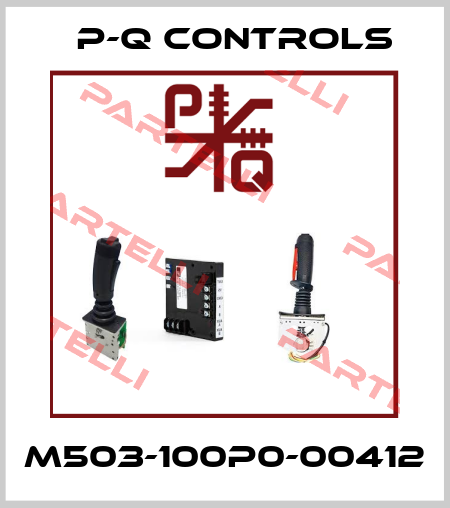 M503-100P0-00412 P-Q Controls