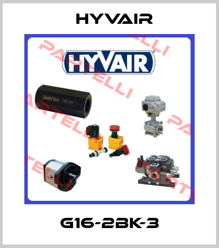 G16-2BK-3 Hyvair
