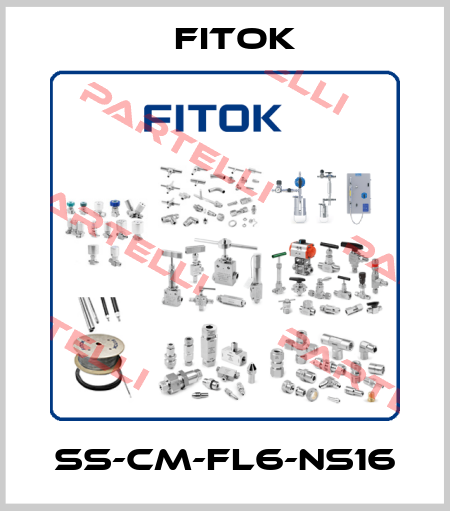 SS-CM-FL6-NS16 Fitok