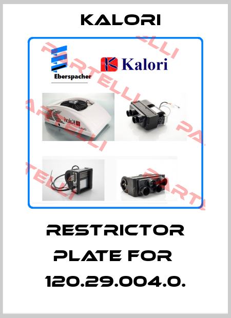 restrictor plate for  120.29.004.0. Kalori