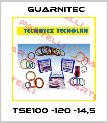 TSE100 -120 -14,5 Guarnitec