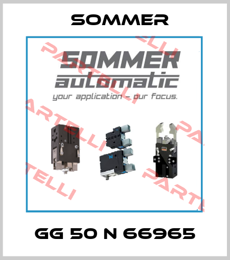 GG 50 N 66965 Sommer