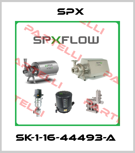 SK-1-16-44493-A  Spx