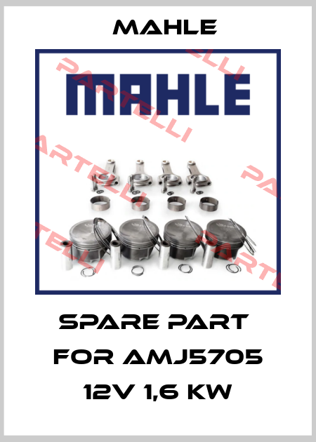 spare part  for AMJ5705 12V 1,6 kW Mahle