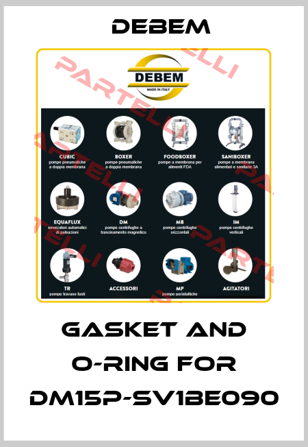 gasket and o-ring for DM15P-SV1BE090 Debem