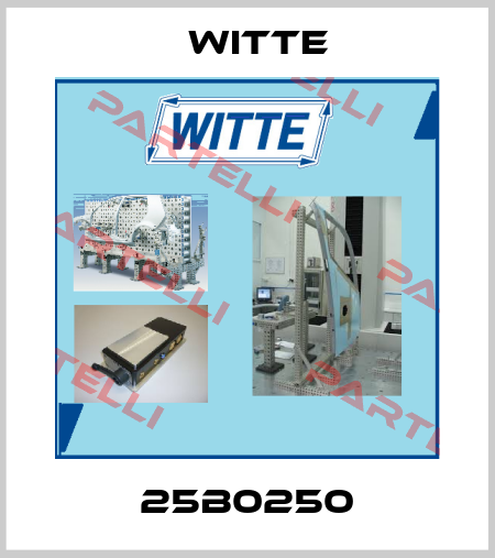 25B0250 Witte