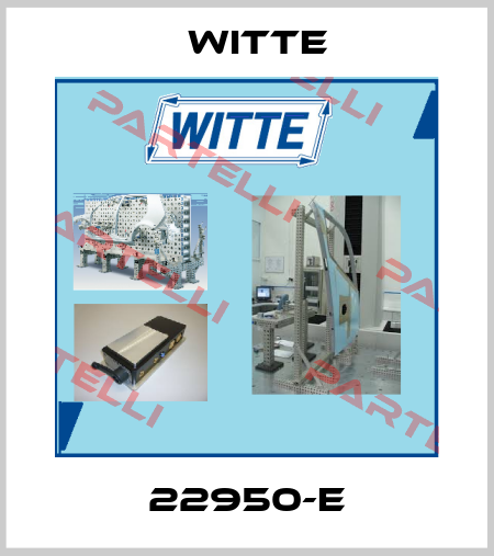 22950-E Witte