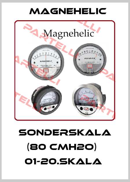 Sonderskala (80 cmH2O)   01-20.SKALA  Magnehelic