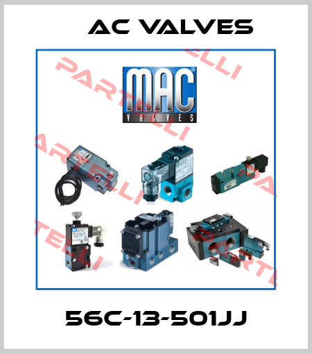 56C-13-501JJ MAC