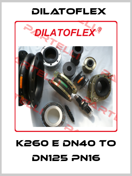 K260 E DN40 to DN125 PN16 DILATOFLEX
